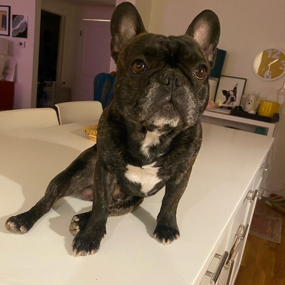 Meet your Posher, Stephanie - Picture 12 of 16